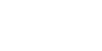 10081